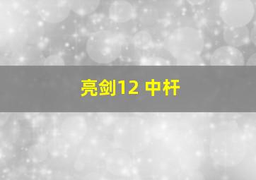 亮剑12 中杆